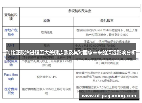 利比亚政治进程五大关键步骤及其对国家未来的深远影响分析