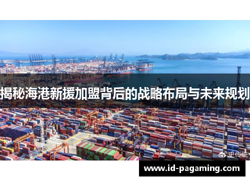 揭秘海港新援加盟背后的战略布局与未来规划