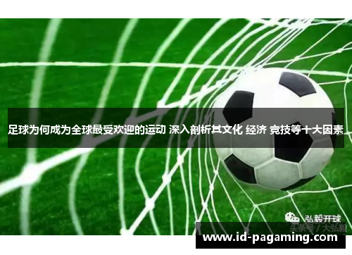 足球为何成为全球最受欢迎的运动 深入剖析其文化 经济 竞技等十大因素