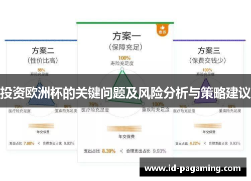 投资欧洲杯的关键问题及风险分析与策略建议