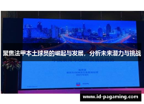 聚焦法甲本土球员的崛起与发展，分析未来潜力与挑战