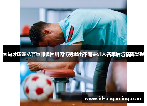 葡萄牙国家队官宣佩佩因肌肉伤势退出本期集训大名单后防临阵受损 葡萄牙国家队官宣佩佩因肌肉伤势退出本期集训大名单后防临阵受损