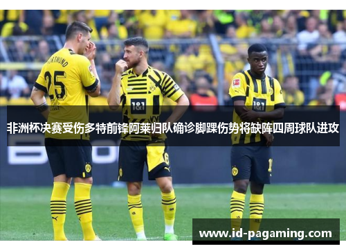 非洲杯决赛受伤多特前锋阿莱归队确诊脚踝伤势将缺阵四周球队进攻