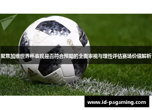 聚焦加维世界杯表现是否符合预期的全面审视与理性评估赛场价值解析