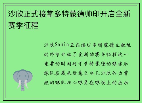 沙欣正式接掌多特蒙德帅印开启全新赛季征程